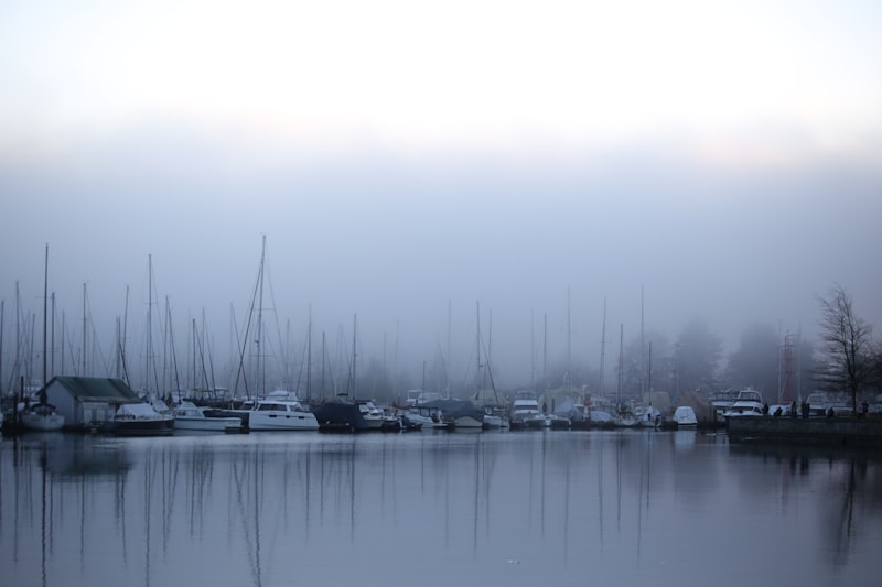 Sailboats docked in a foggy harbor with calm water